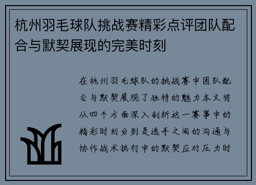 杭州羽毛球队挑战赛精彩点评团队配合与默契展现的完美时刻